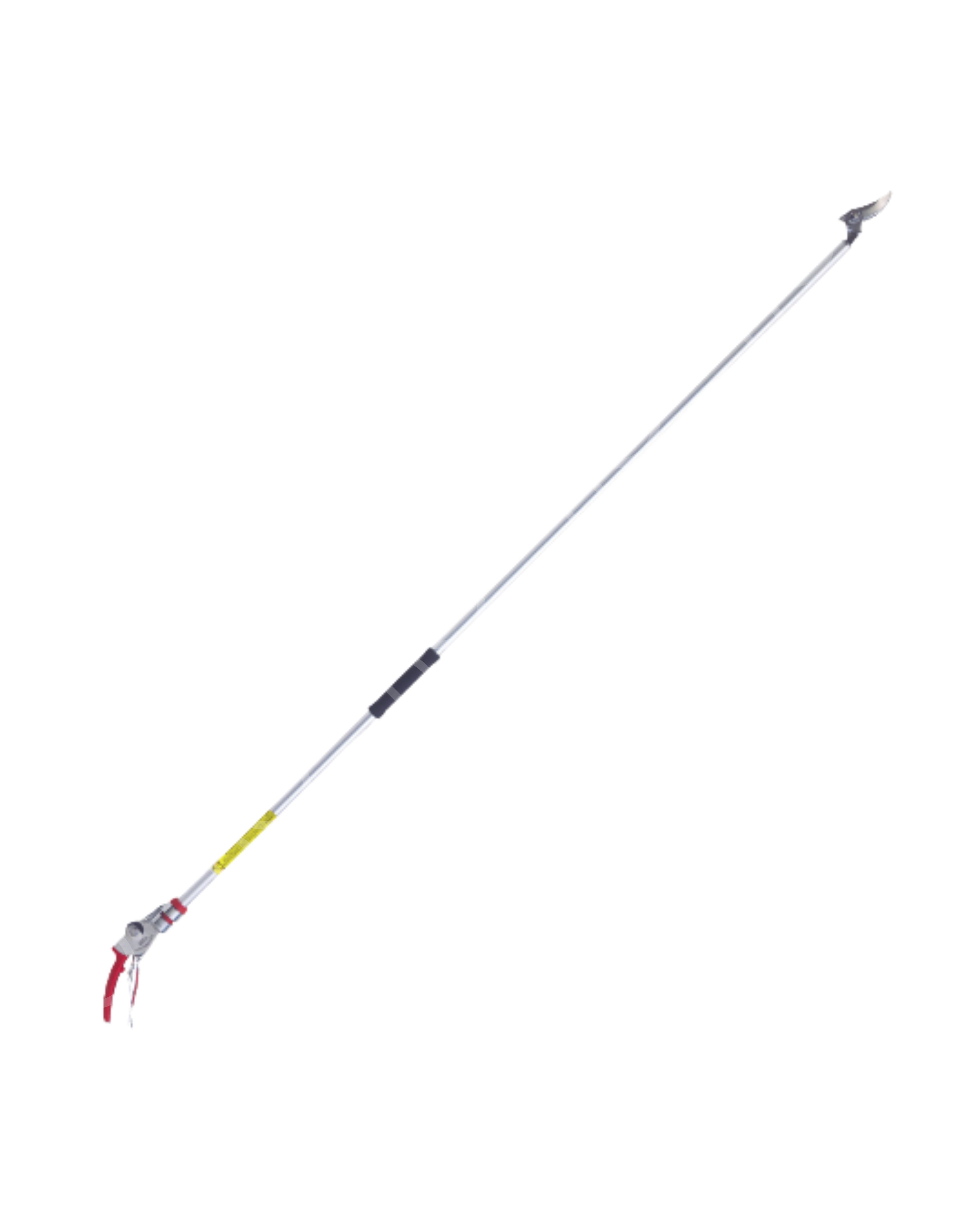 ARS 1
