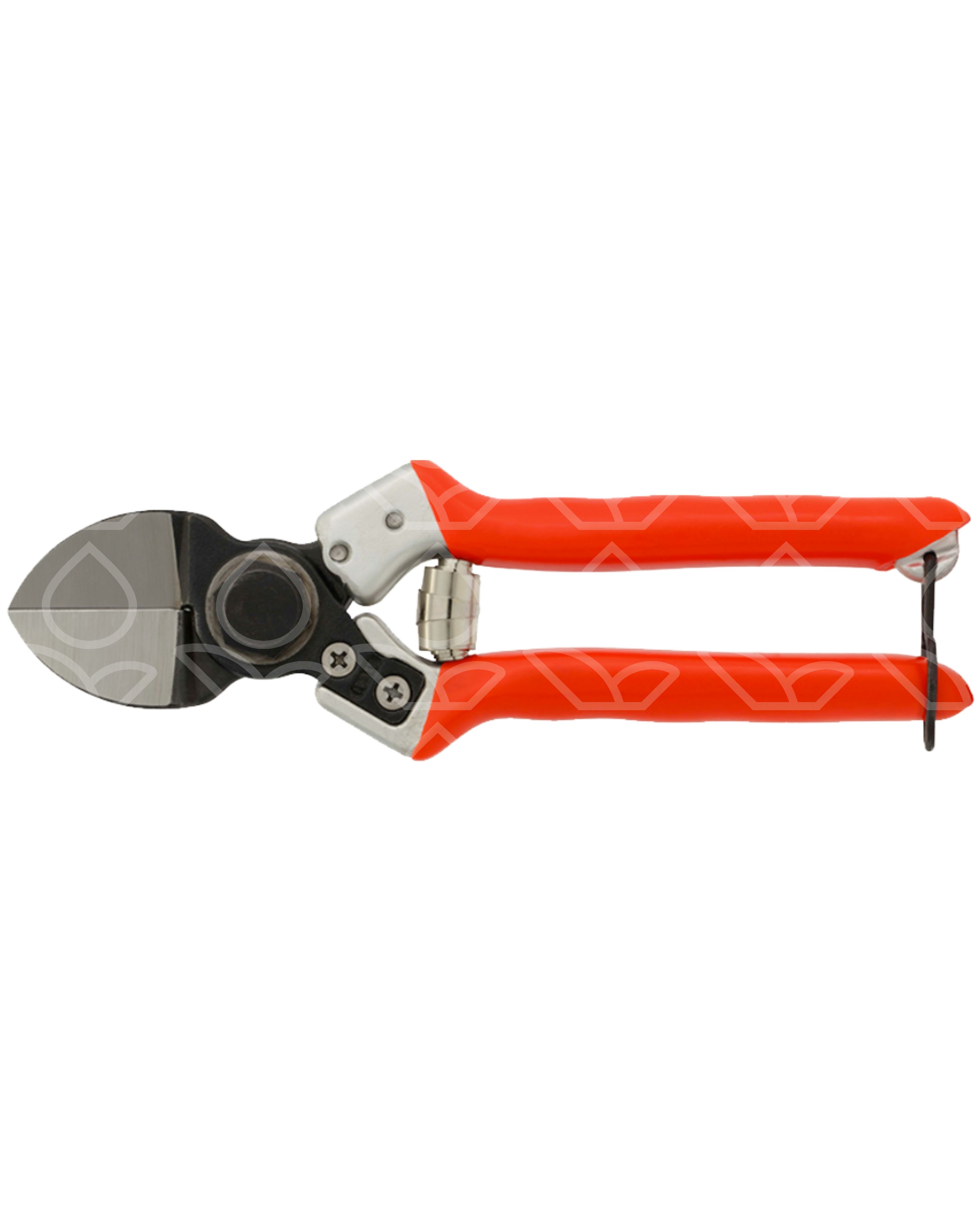 CASTELLARI LADY 2 - Forbice professionale a doppia lama per frutteto