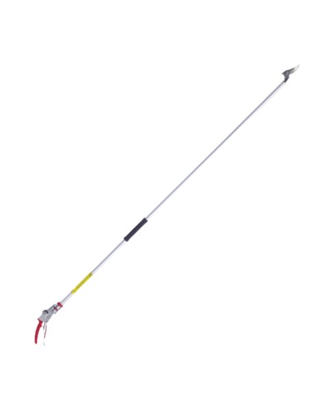 ARS 1