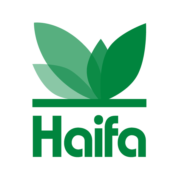 Haifa