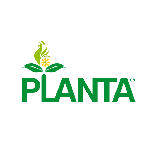 Planta